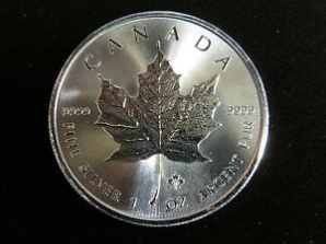 mince_Kanada
