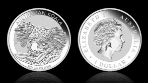 mince_koala